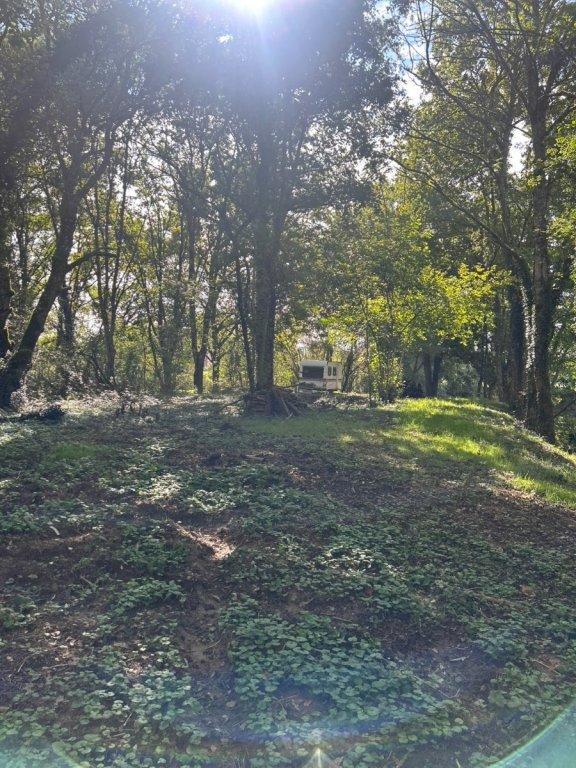 Propriété - 8 200 m² - 1 pièce