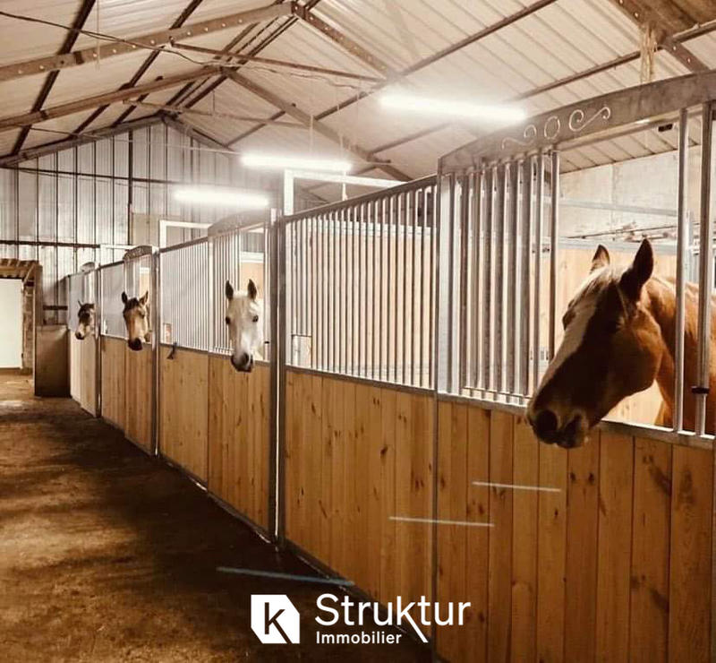 Propriété - 830 m² - 16 pièces