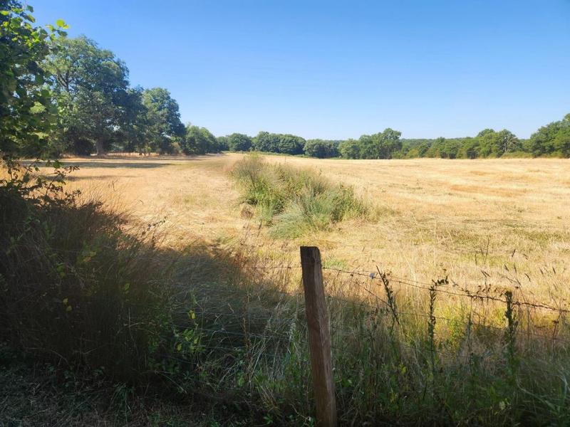 Maison - 360 m² - 12 pièces