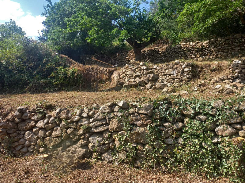 Maison - 167 m² - 6 pièces