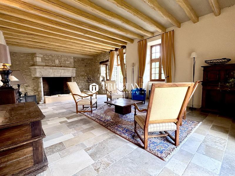 Château - 422 m² - 9 pièces