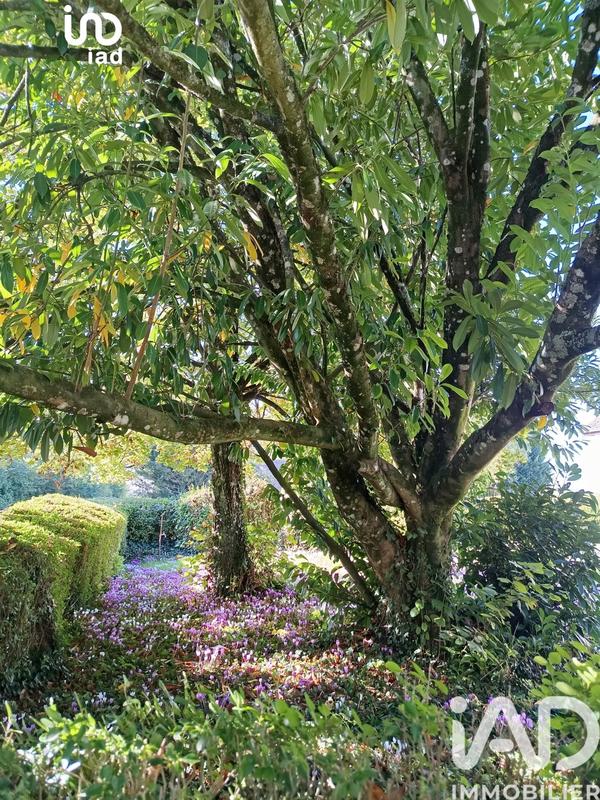 Maison de campagne - 72 m² - 3 pièces