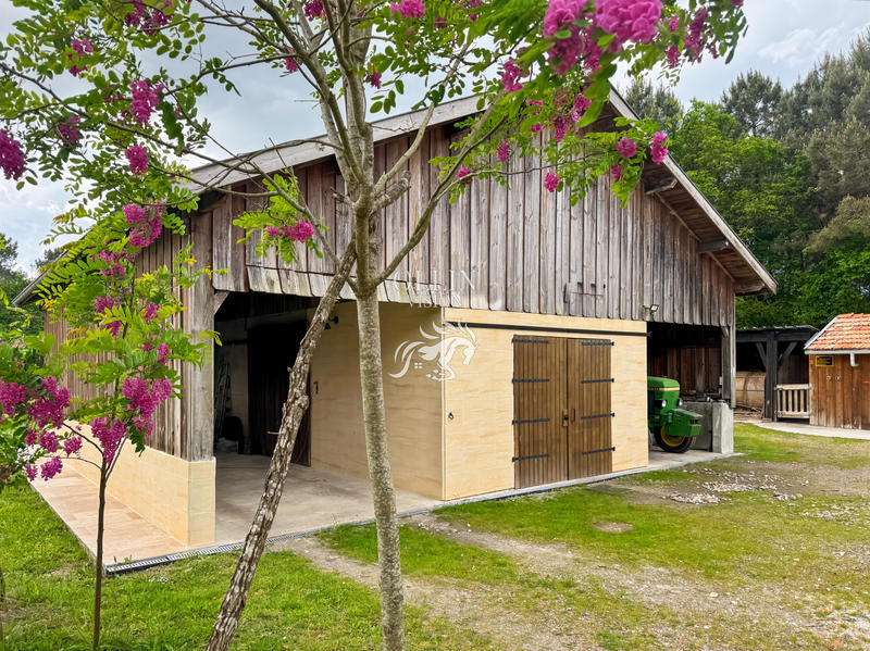 Propriété - 203 m² - 7 pièces