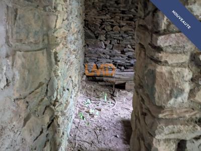 Maison en pierre - 60 m² - 2 pièces