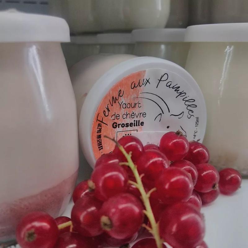 Marché à la ferme aux Pampilles