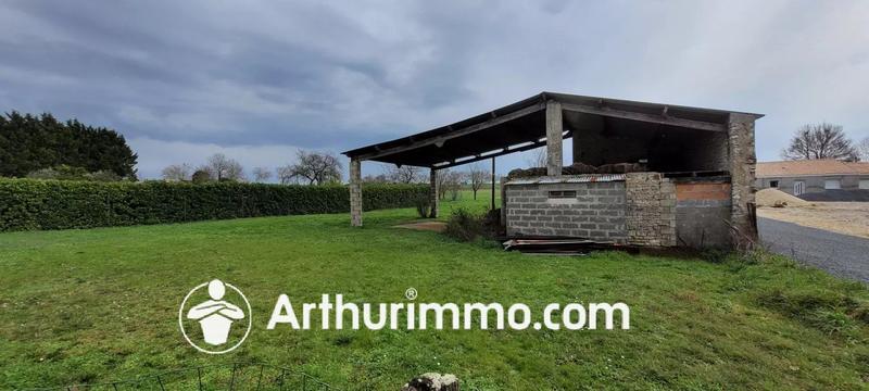 Terrain - 4 979 m²