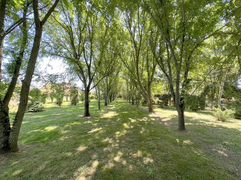 Maison - 225 m² - 9 pièces