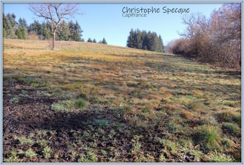 Terrain constructible - 4 945 m²