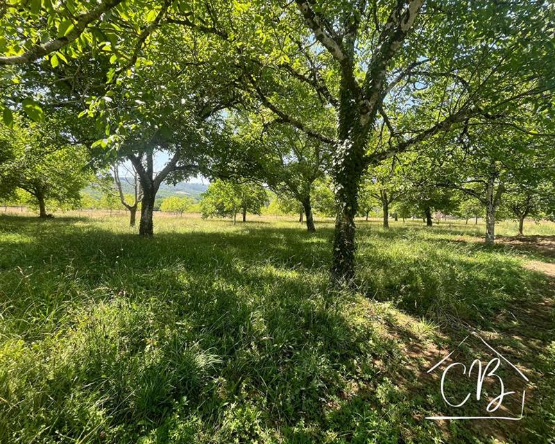 Terrain constructible - 4 264 m²