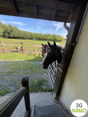 Maison - 40 m² - 2 pièces