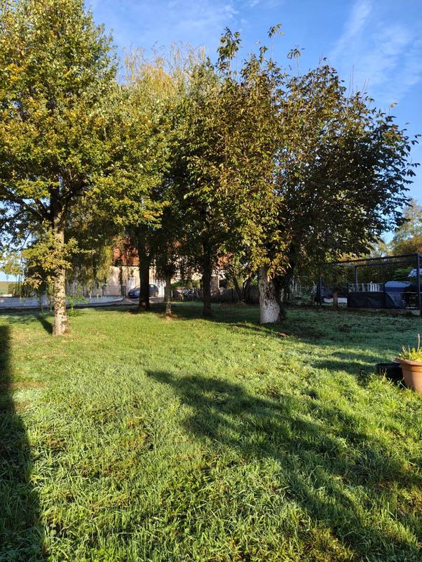 Maison ancienne - 200 m² - 5 pièces