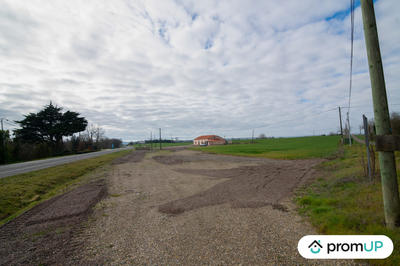 Terrain - 10 000 m²