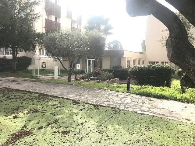 Appartement - 29 m² - 2 pièces