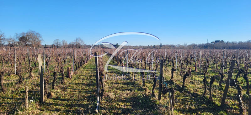 Maison ancienne - 113 m² - 4 pièces