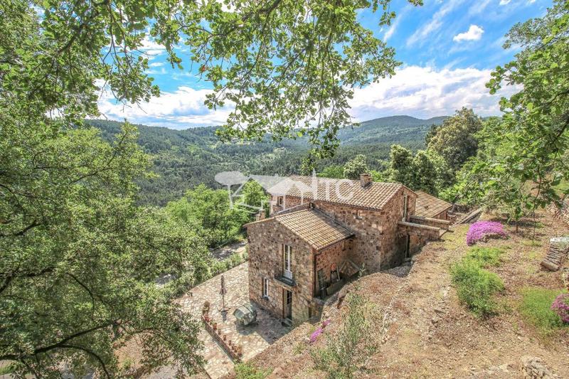 Maison en pierre - 296 m² - 7 pièces