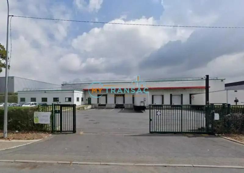 Local d'activité / Entrepôt - 2 800 m²