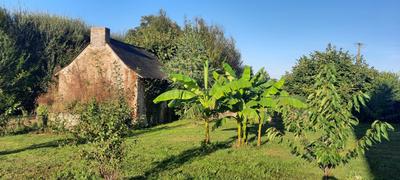 Maison - 190 m² - 9 pièces