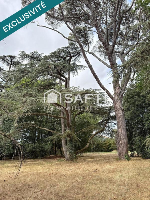 Maison de maîtres - 464 m² - 11 pièces