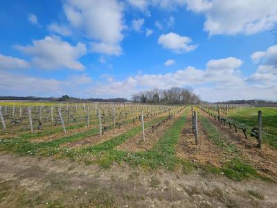 Terrain agricole - 58 343 m²