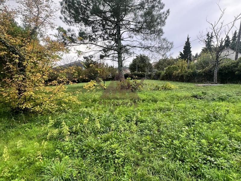 Terrain constructible - 2 045 m²