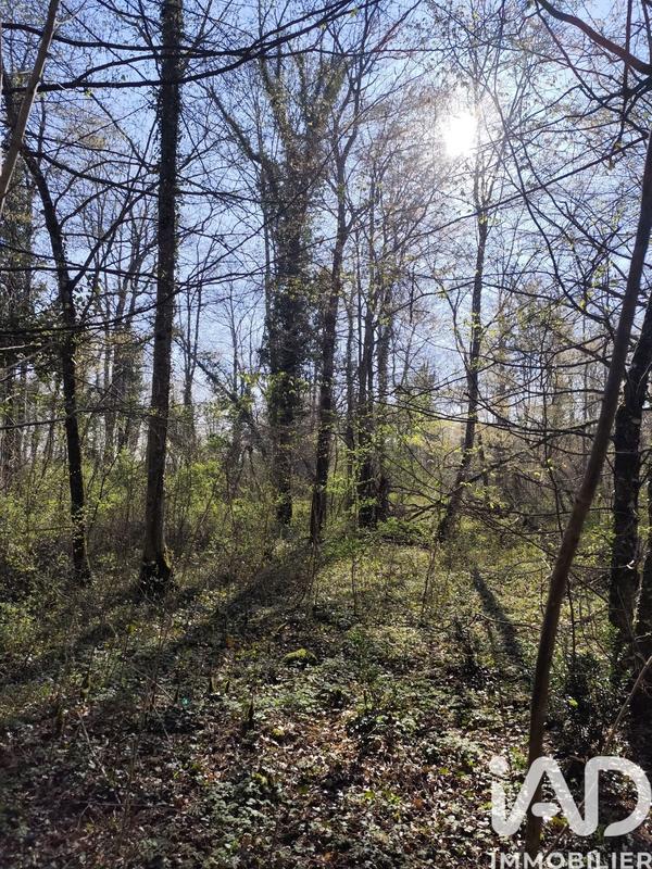 Terrain - 48 910 m²