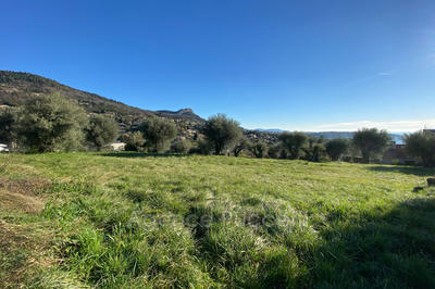 Terrain - 1 001 m²