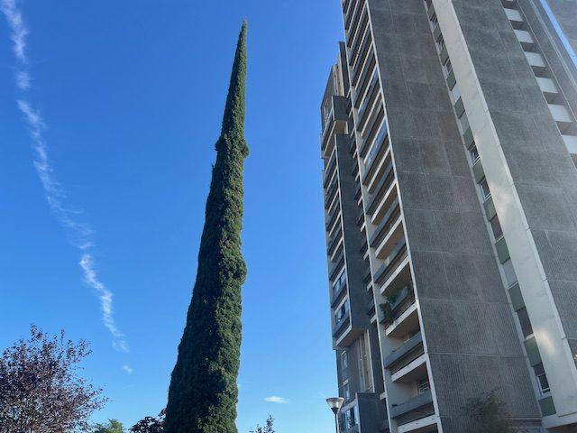 Appartement - 81 m² - 3 pièces