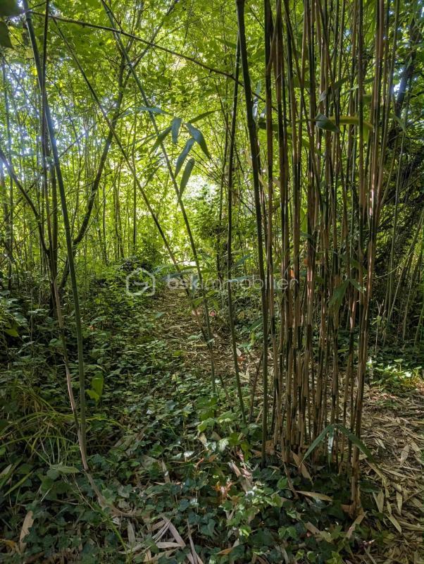 Châlet - 36 m² - 1 pièce