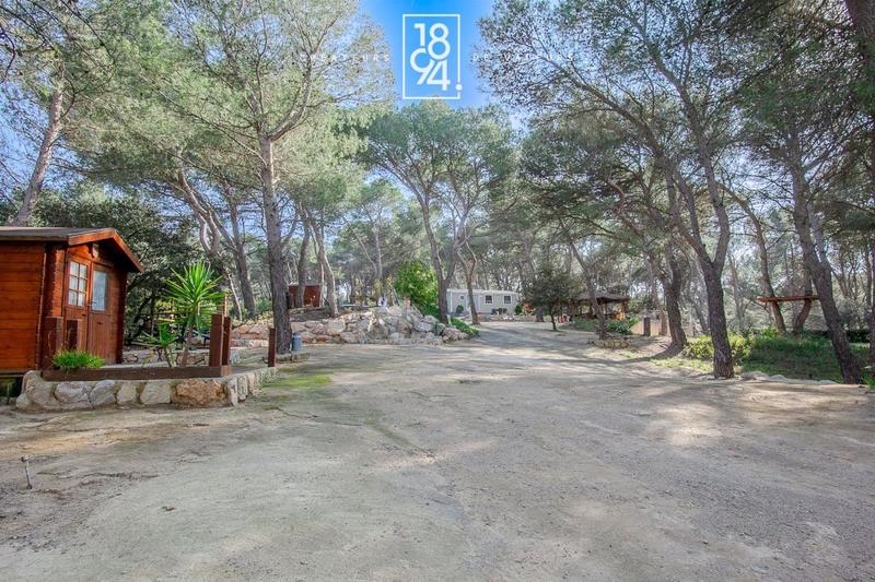 Terrain de loisirs - 7 103 m²