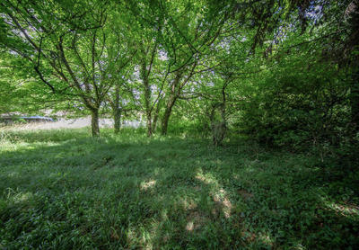 Terrain constructible - 1 440 m²