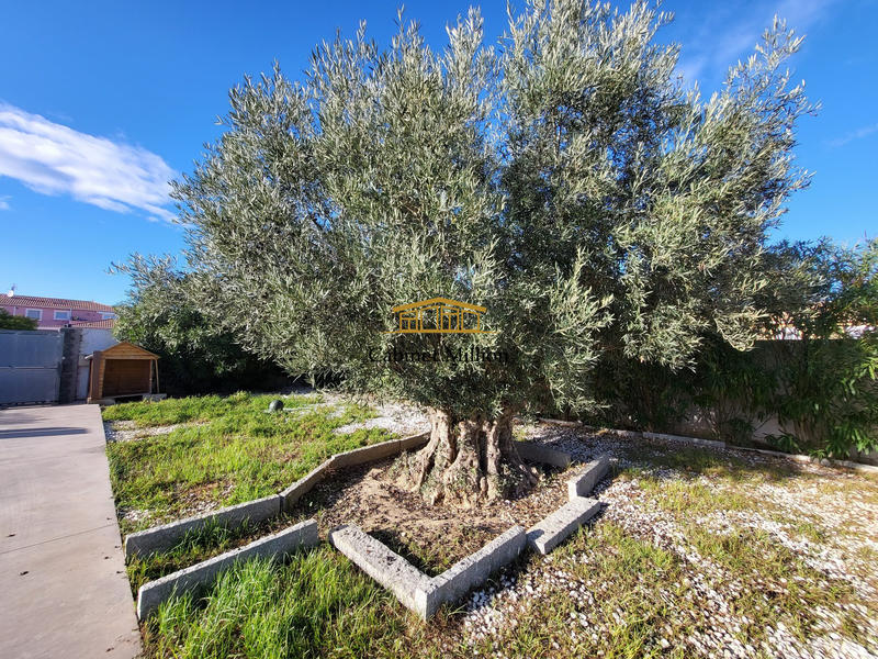 Maison - 210 m² - 4 pièces