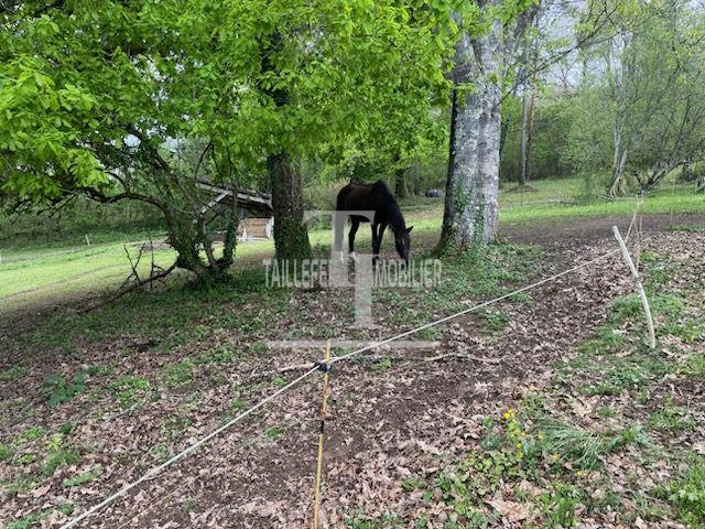 Ferme - 155 m² - 9 pièces