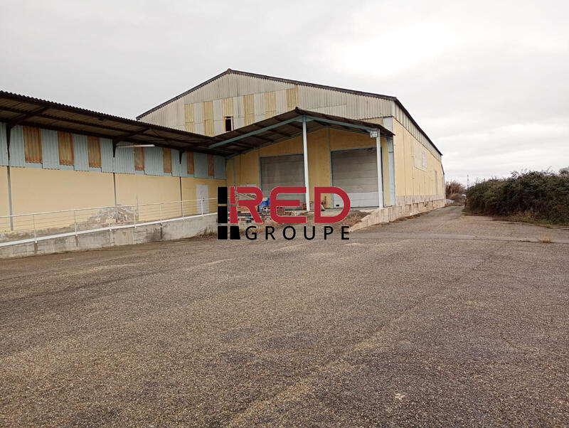 Entrepôt - 2 000 m²