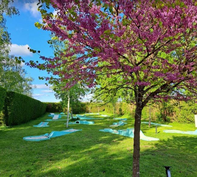 Manoir - 1 600 m² - 50 pièces