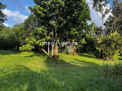 Terrain constructible - 1 560 m²