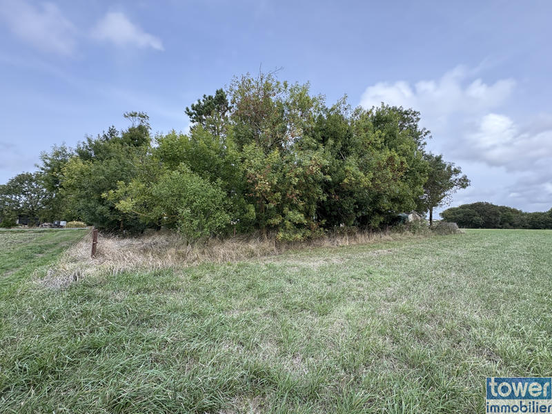 Terrain de loisirs - 1 476 m²