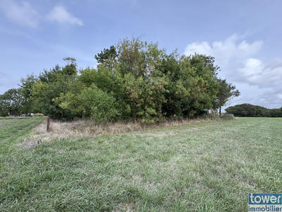 Terrain de loisirs - 1 476 m²