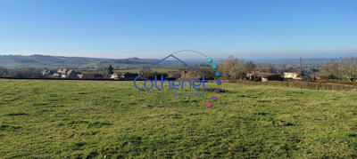 Terrain - 775 m²