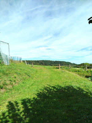 Terrain - 1 500 m²