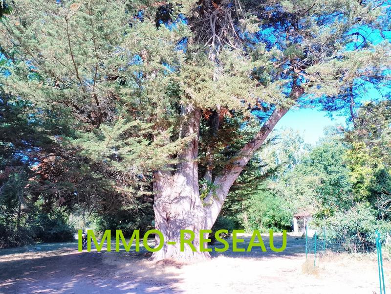 Maison - 223 m² - 9 pièces