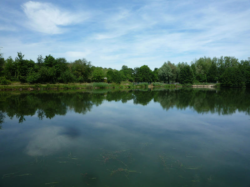 Propriété - 360 m² - 14 pièces