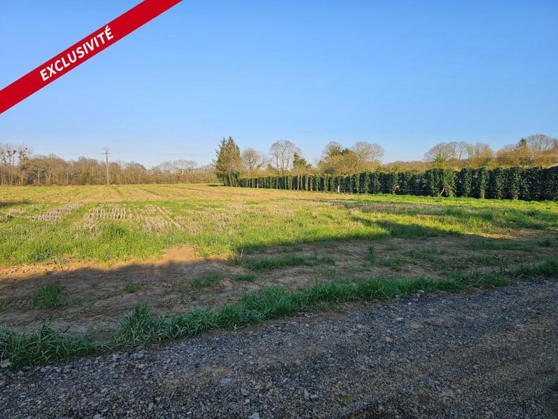 Terrain constructible - 1 314 m²