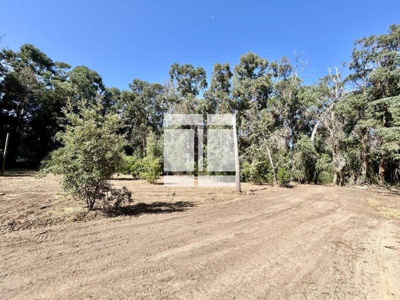 Maison - 260 m² - 9 pièces