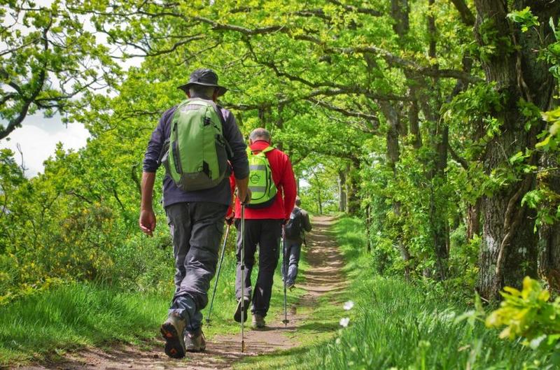 Randonnée accompagné