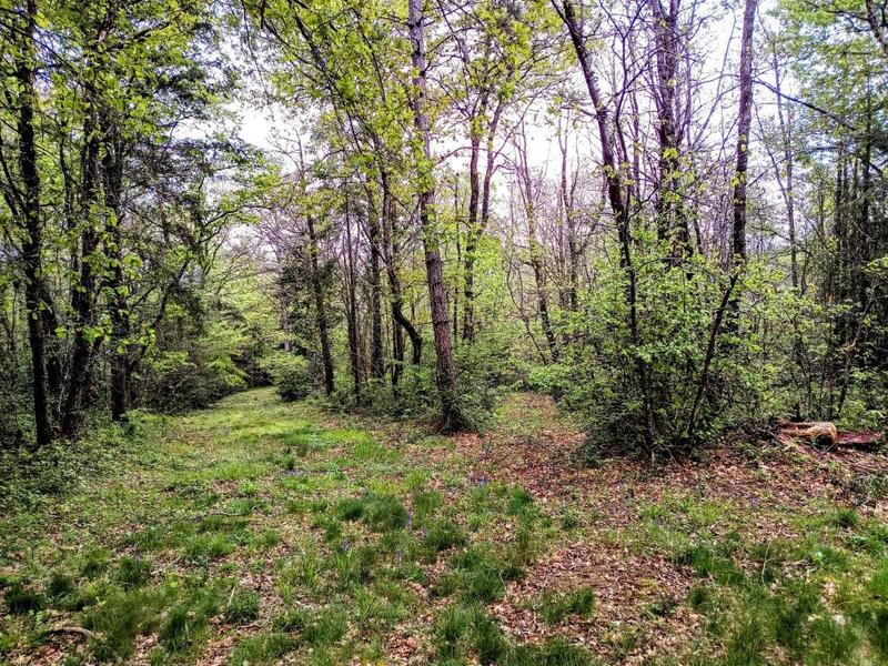 Propriété - 209 m² - 10 pièces