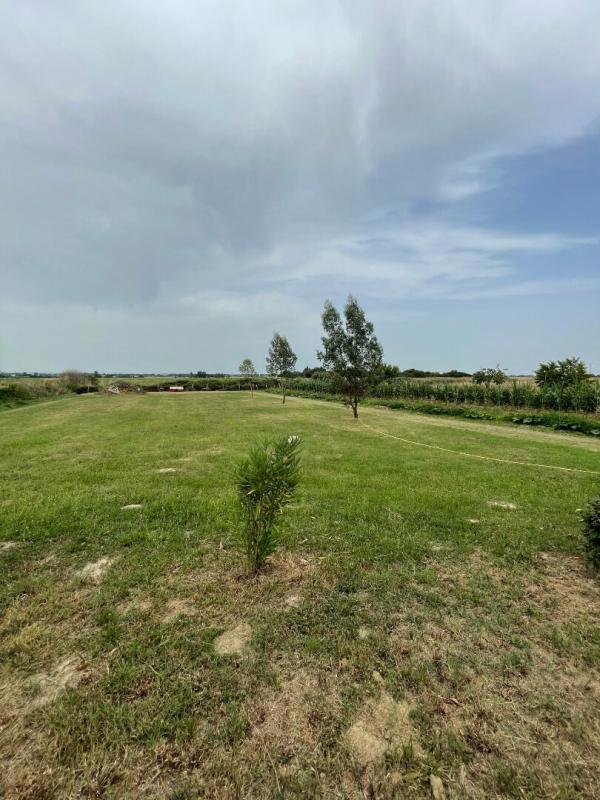 Maison de campagne - 83 m² - 3 pièces