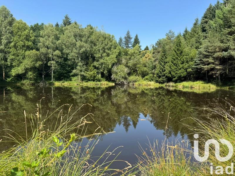 Terrain - 30 452 m²