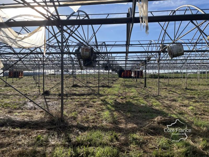 Terrain agricole - 130 000 m²