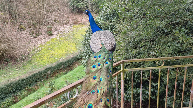 Maison - 338 m² - 14 pièces