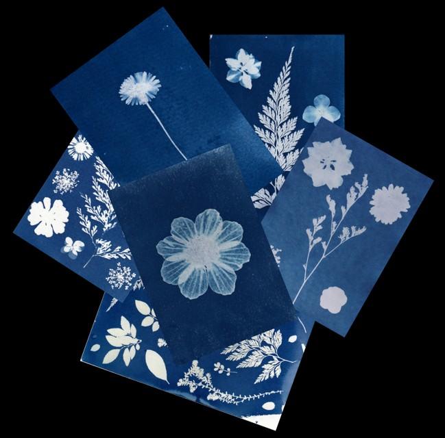 Samedi créatif "Cyanotype"